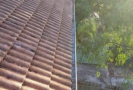 Gutter Cleaning